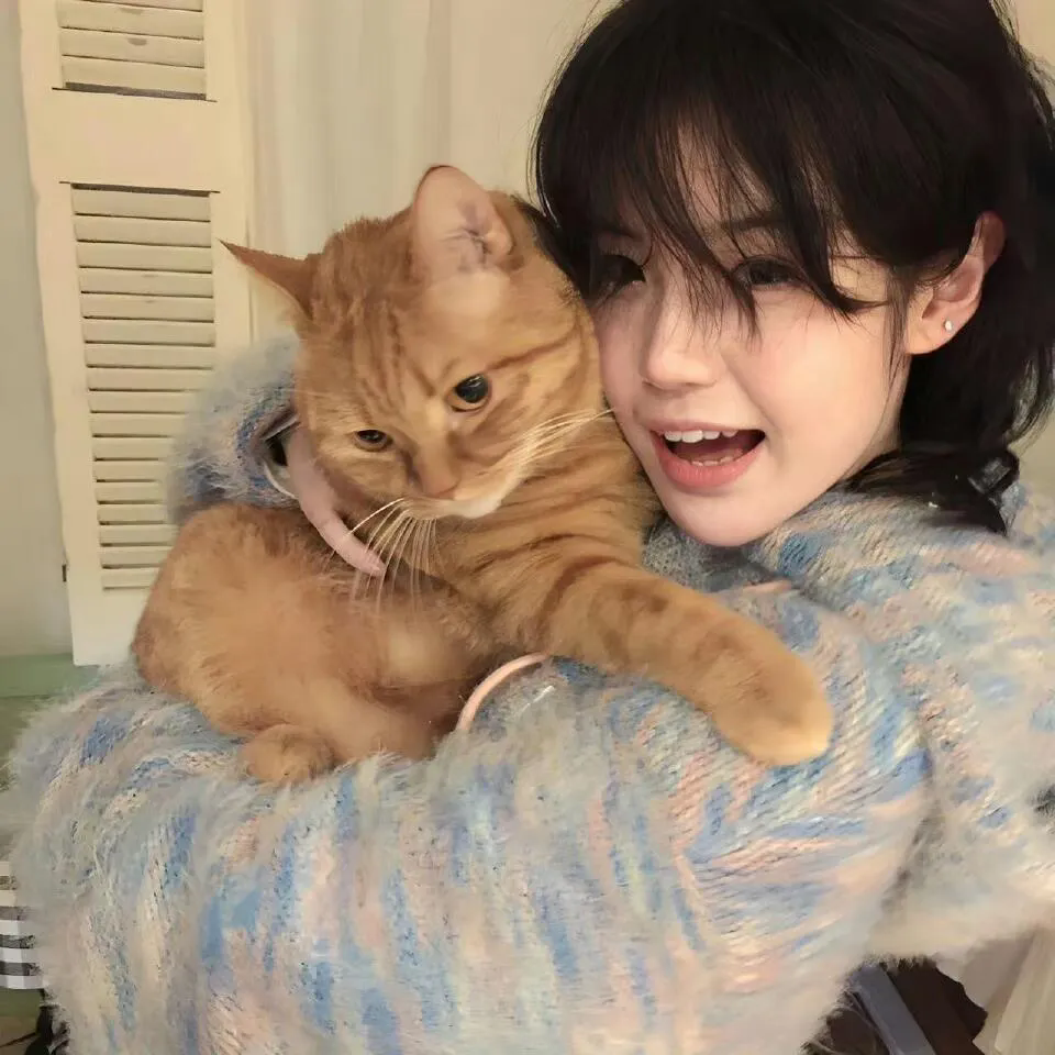 登峰造极$一球成名